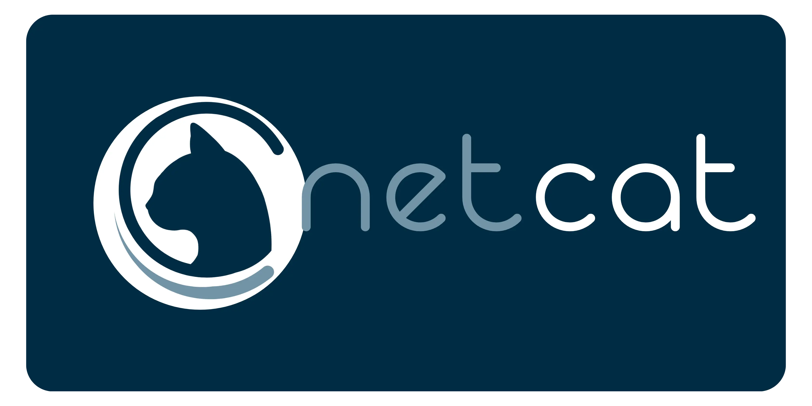 Recruix logo